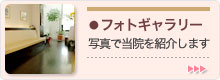 フォトギャラリー
